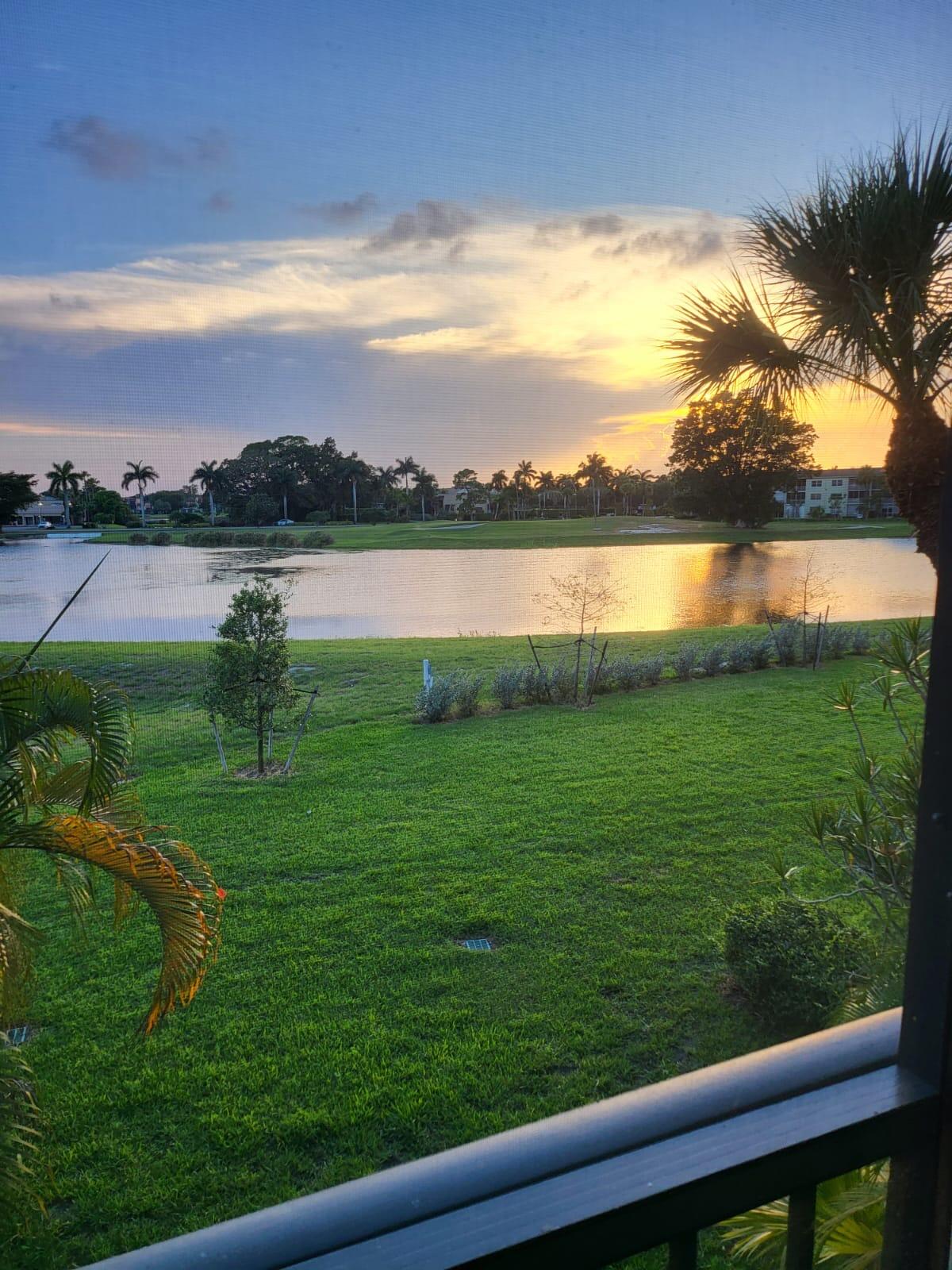 a view of a lake from a yard