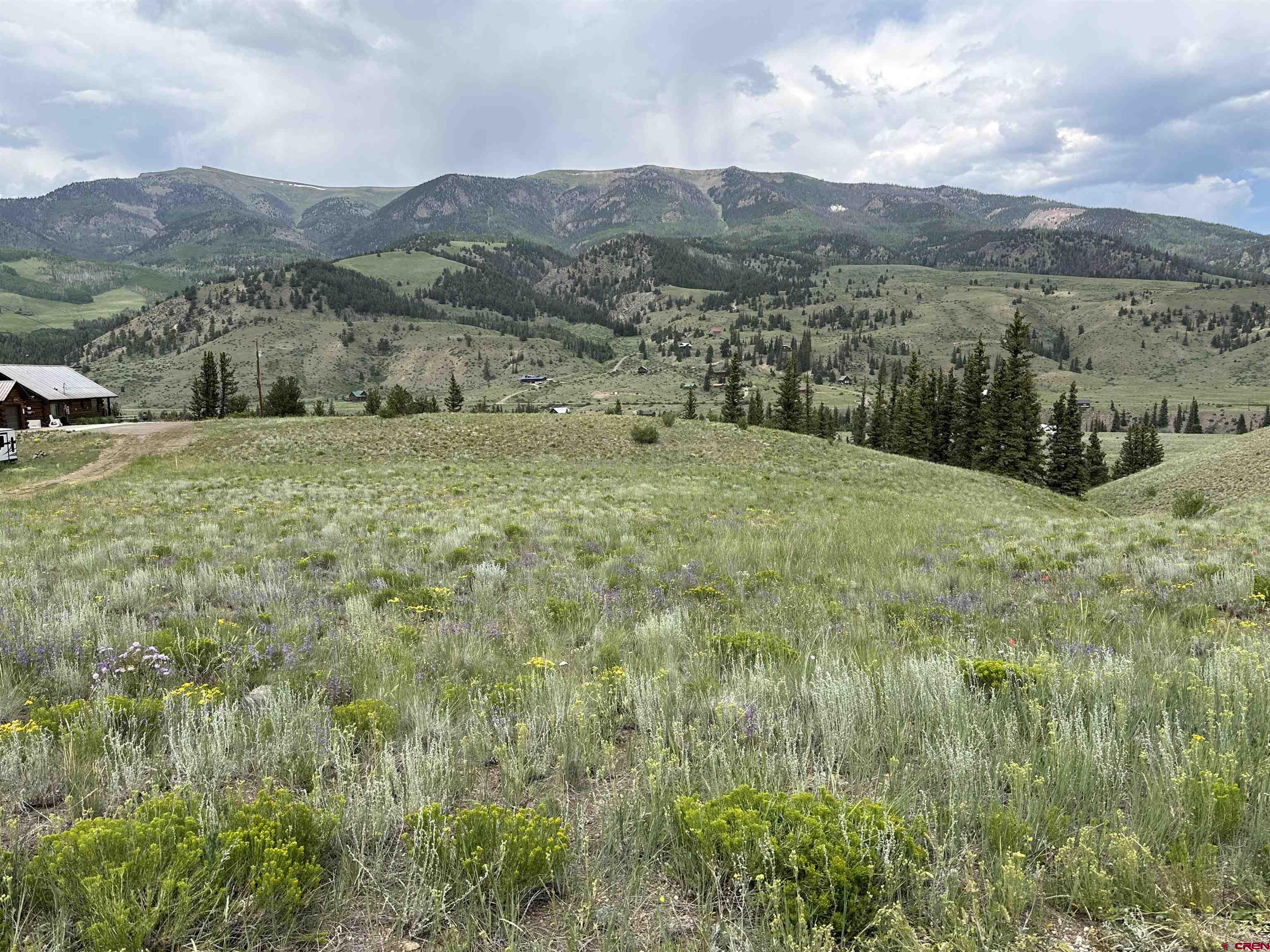 a view of a lush green field with mountains in the background