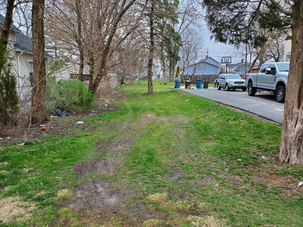 a view of a park with bench and trees