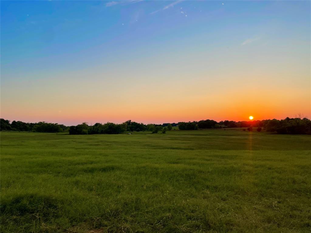 a view of a field with a big yard