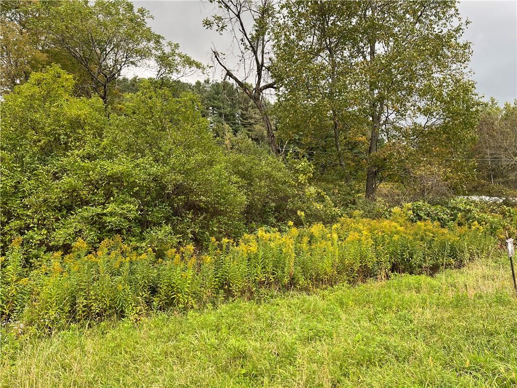 a view of a garden