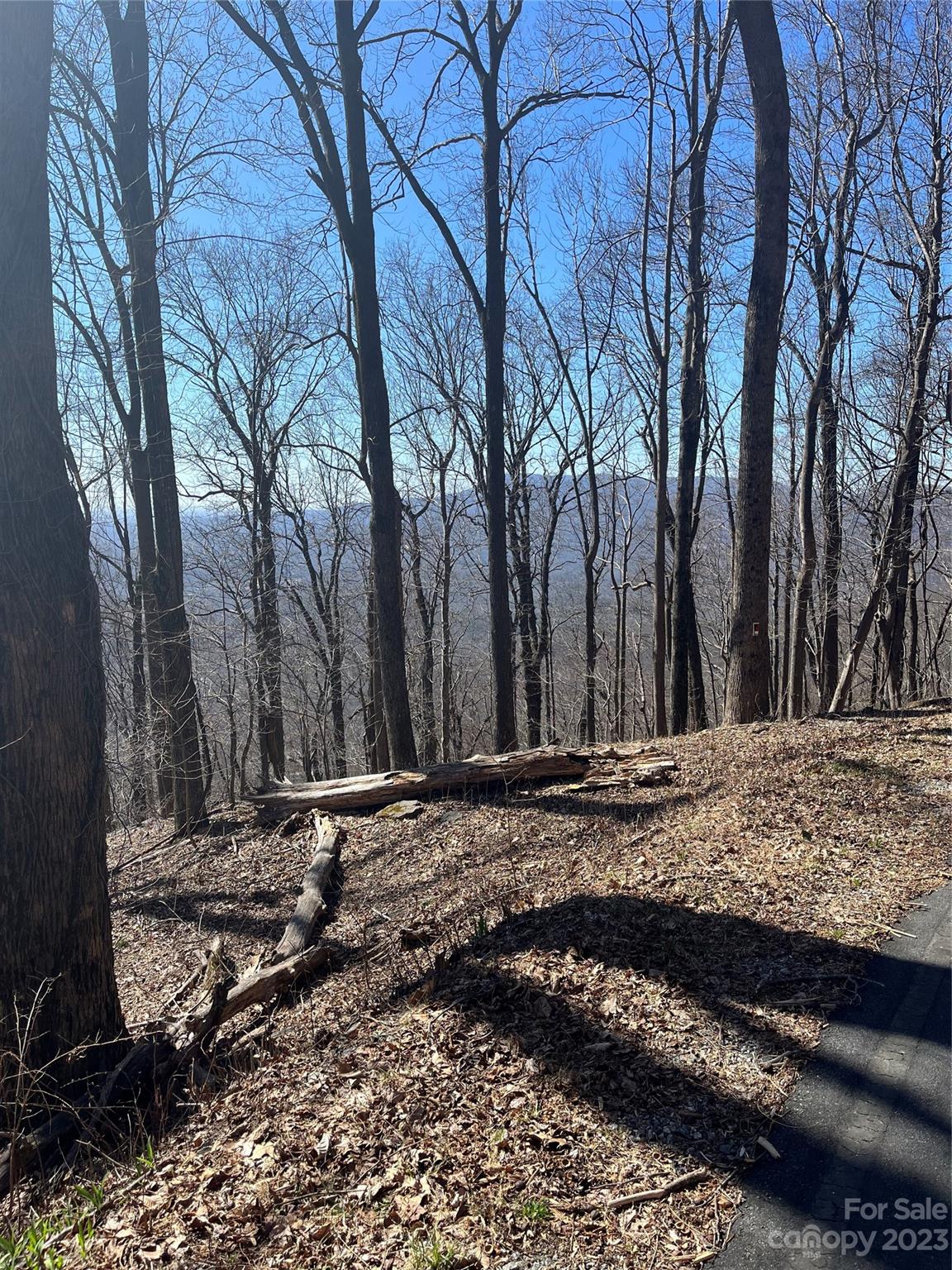 a view of a backyard of the house