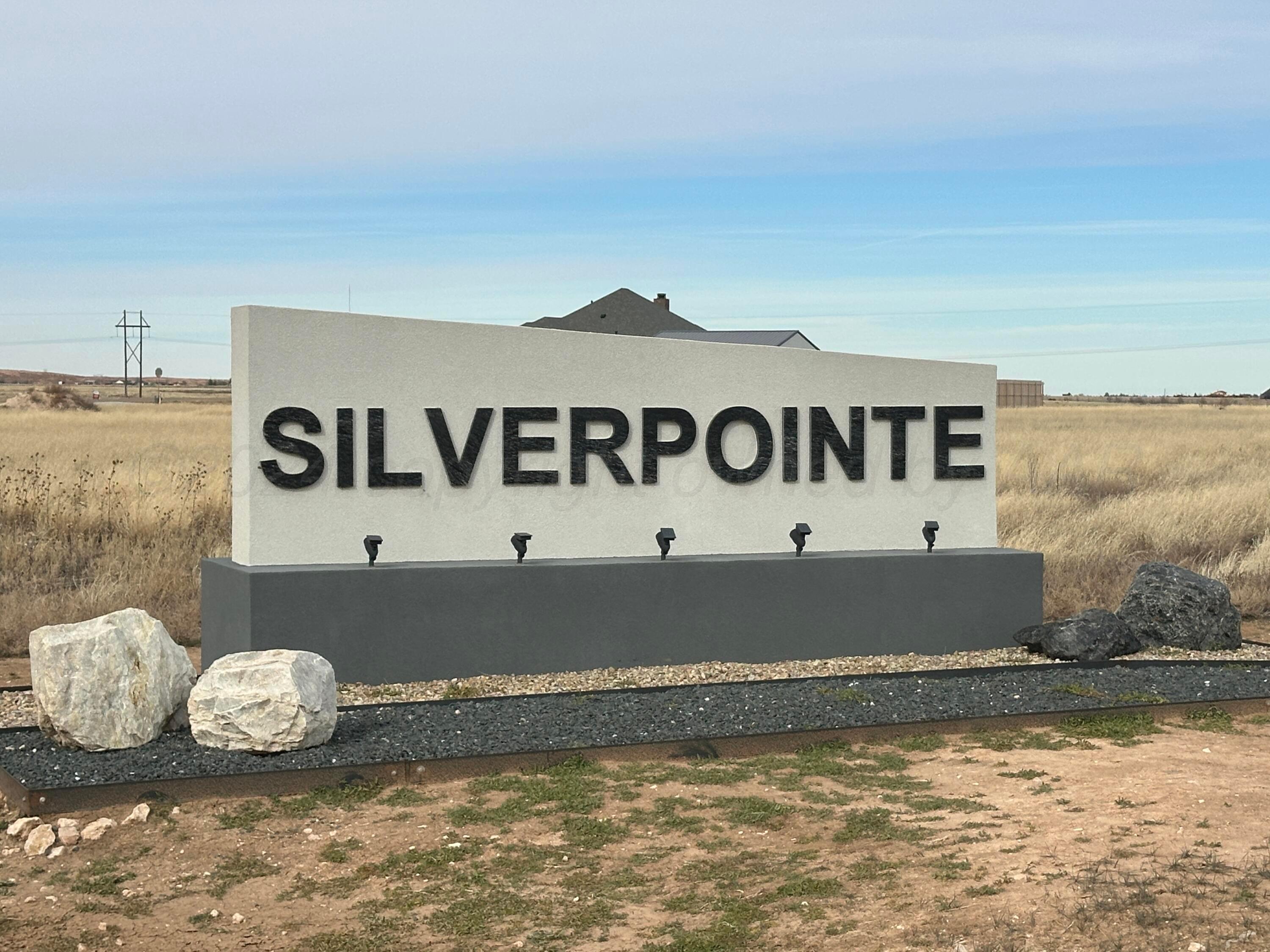 SilverPointe