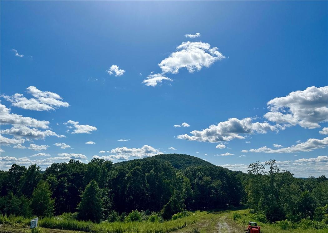 Your private retreat would be nestled down this long private driveway and to the left with gorgeous views of Sugar Loaf Mountain and the surrounding hillsides!