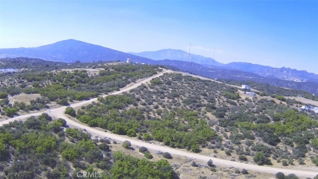 a view of a forest with mountains in the background