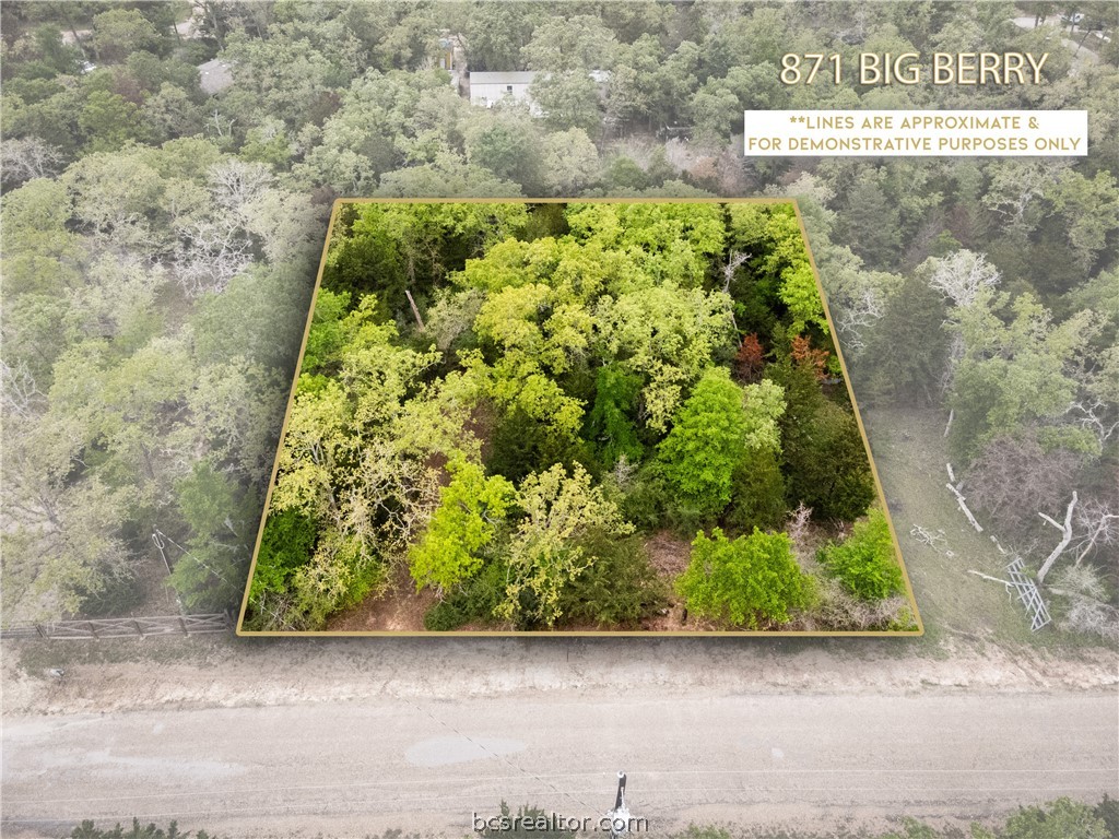 a view of a garden with plants