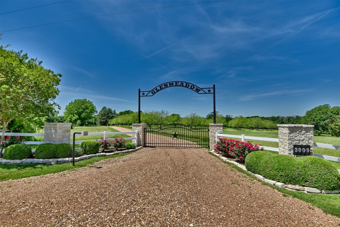 a garden view with a street view