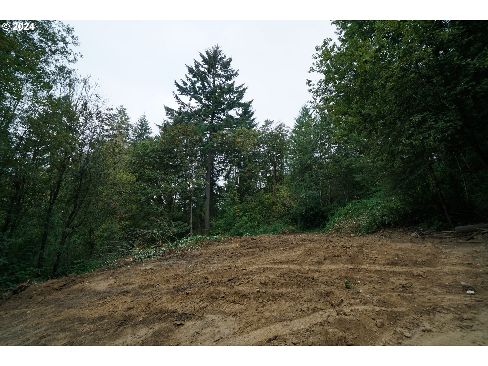 a view of a dry yard with trees in the background