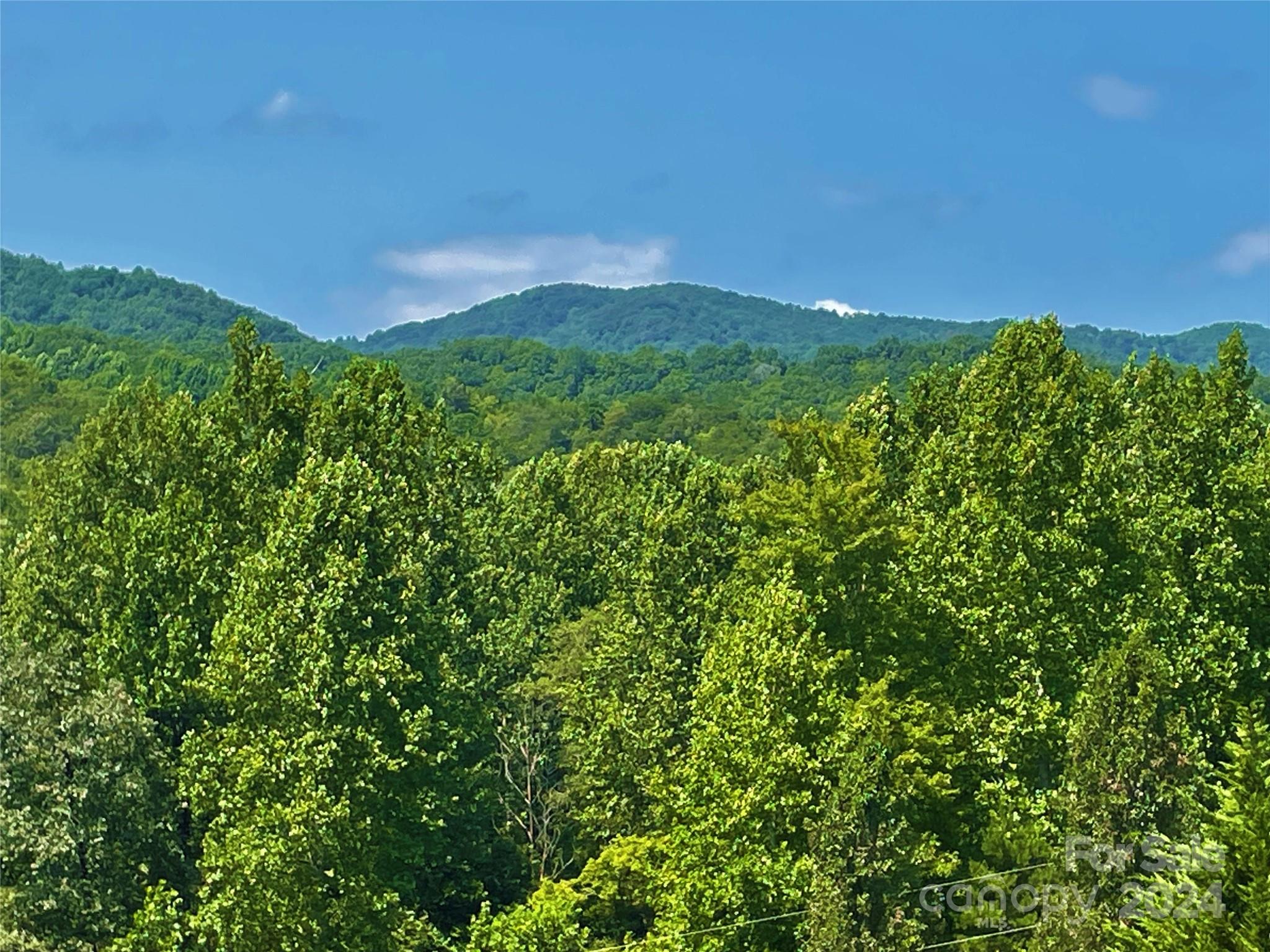 a view of a lush green space with sea