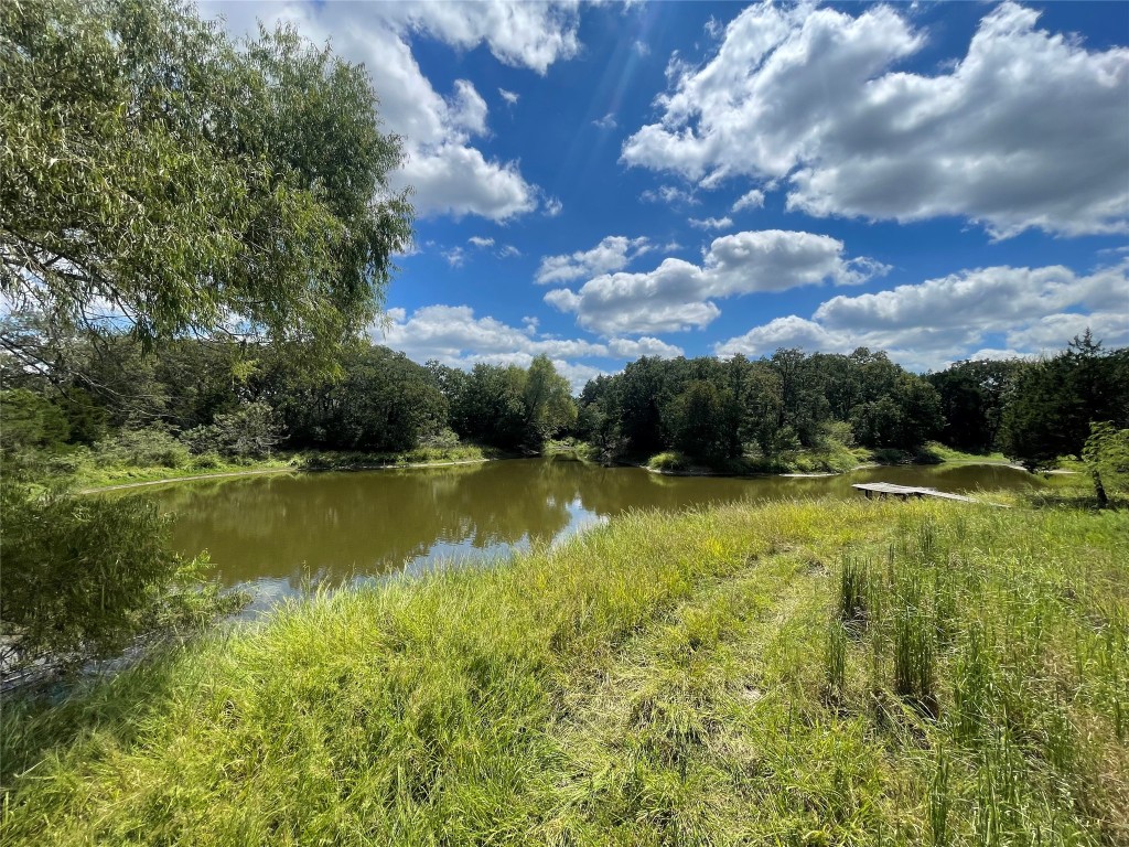 a view of lake with green space