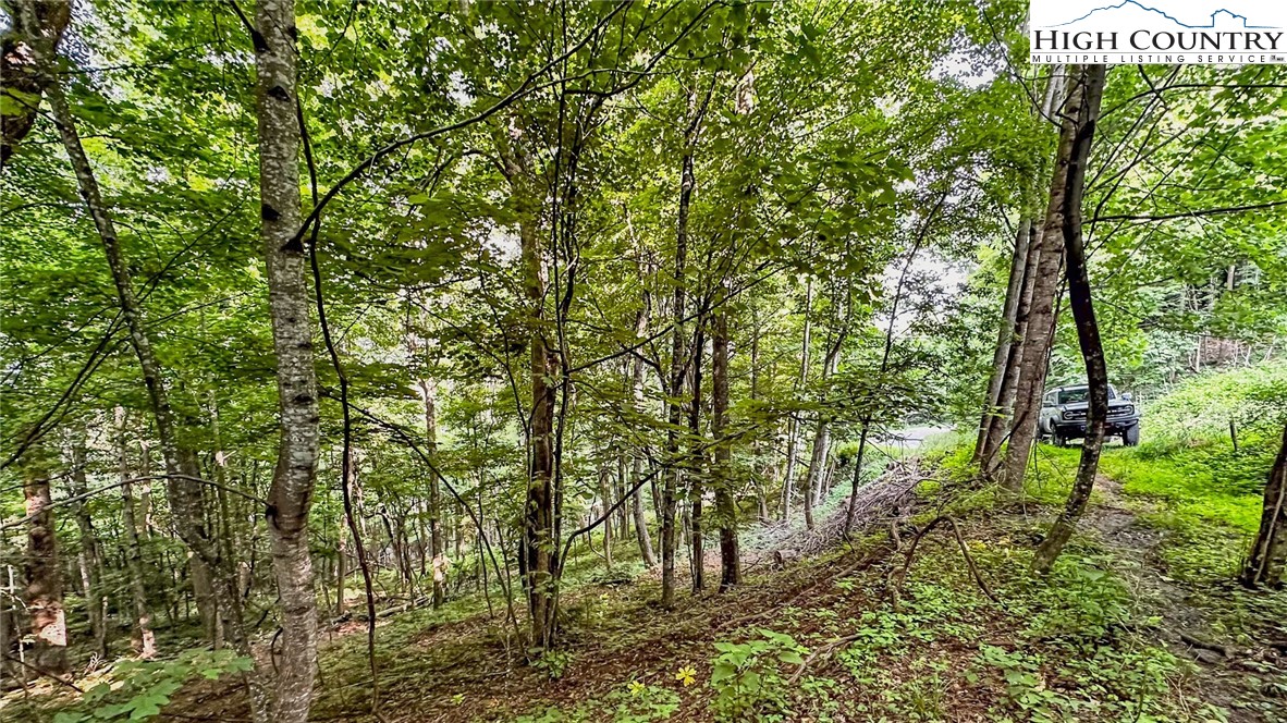 a view of outdoor space and garden