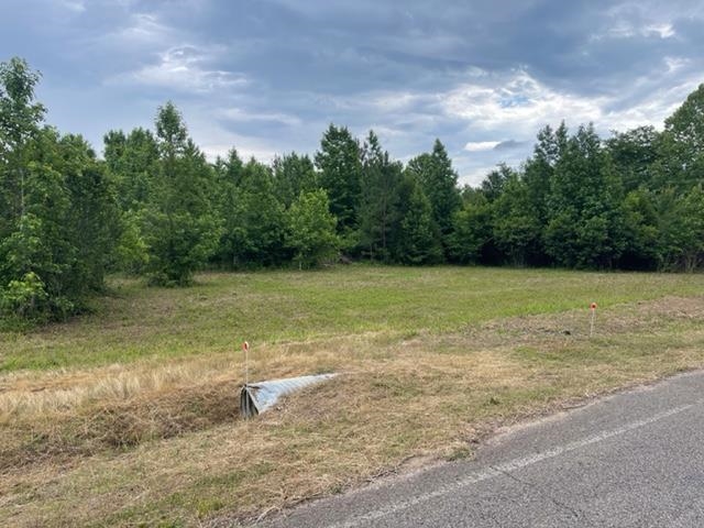 a view of a field with an trees in the background