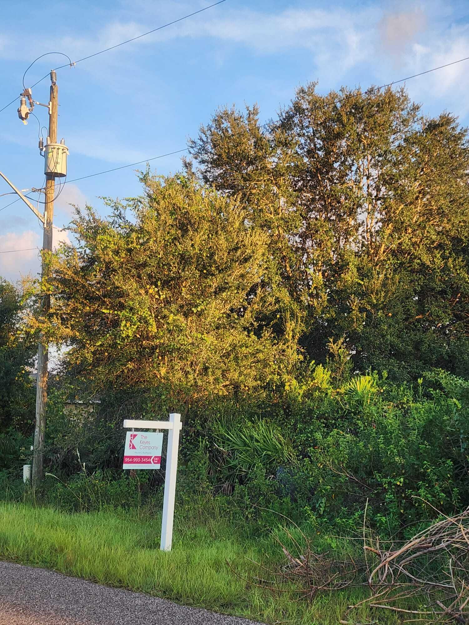 a sign that is sitting in front of a tree