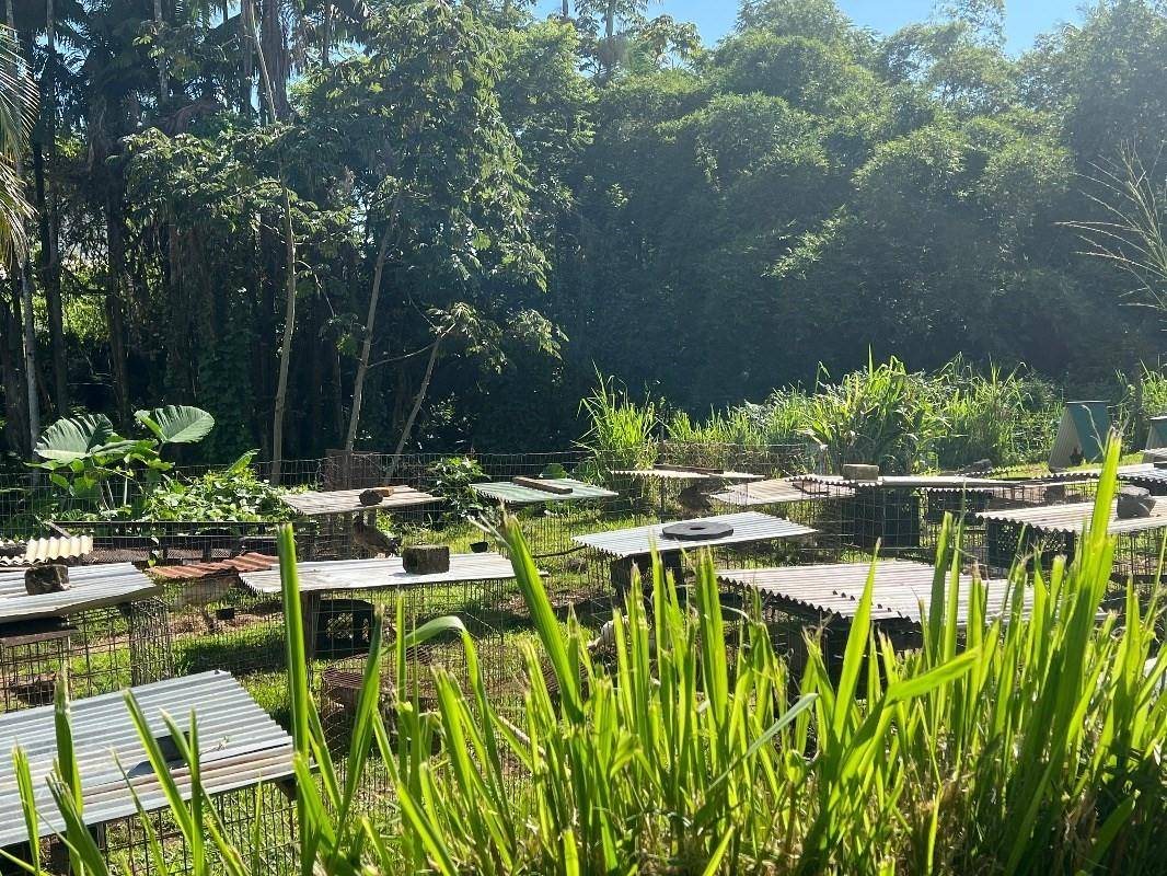 a view of backyard with swimming pool and seating space