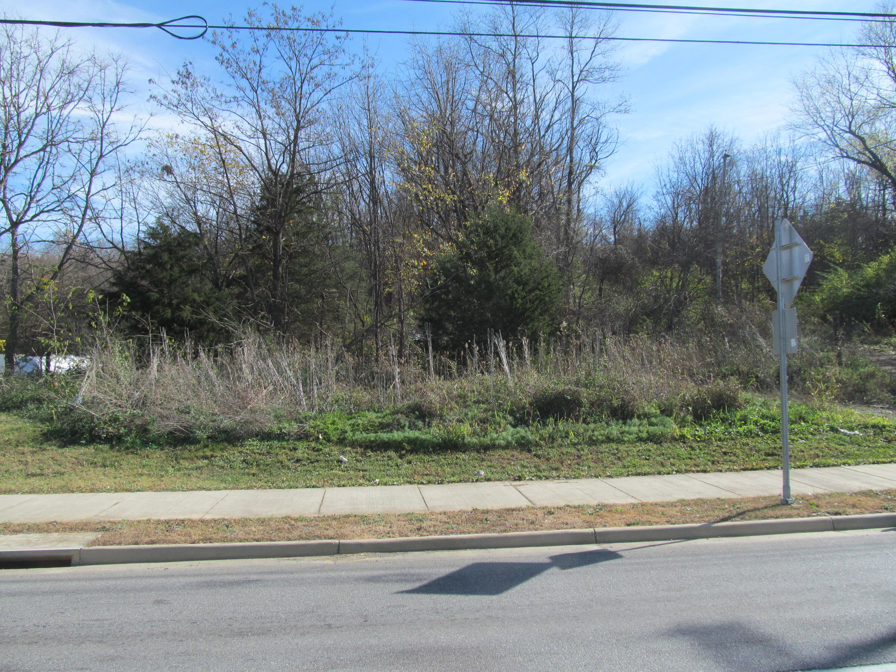 a view of a yard and car parked on the road