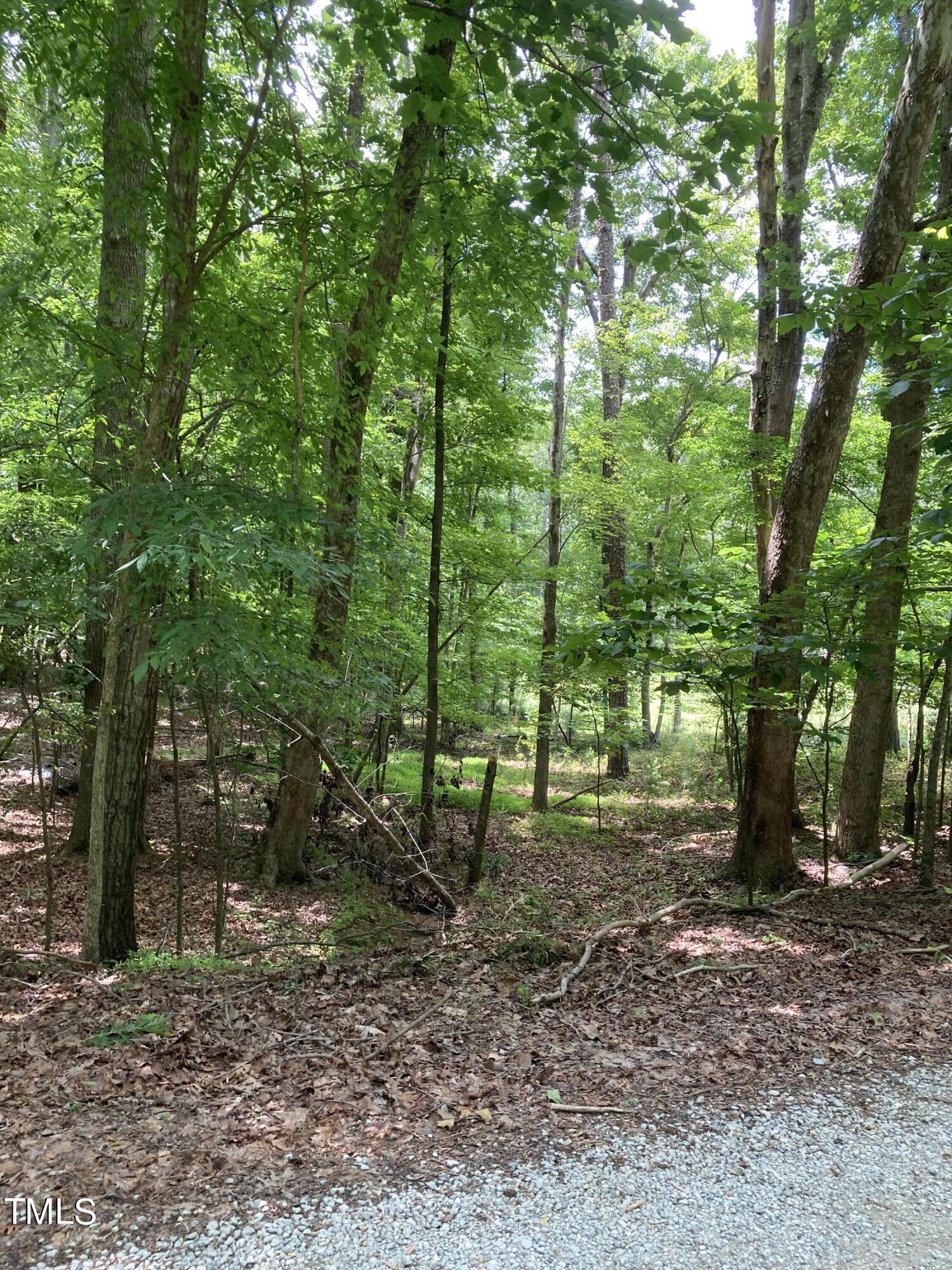 a view of outdoor space and tree