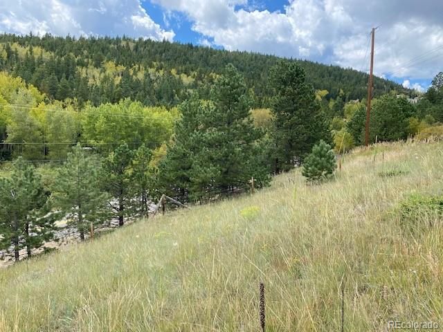 $450,000 | N009085 N009085 Central City Co 80427 | Central