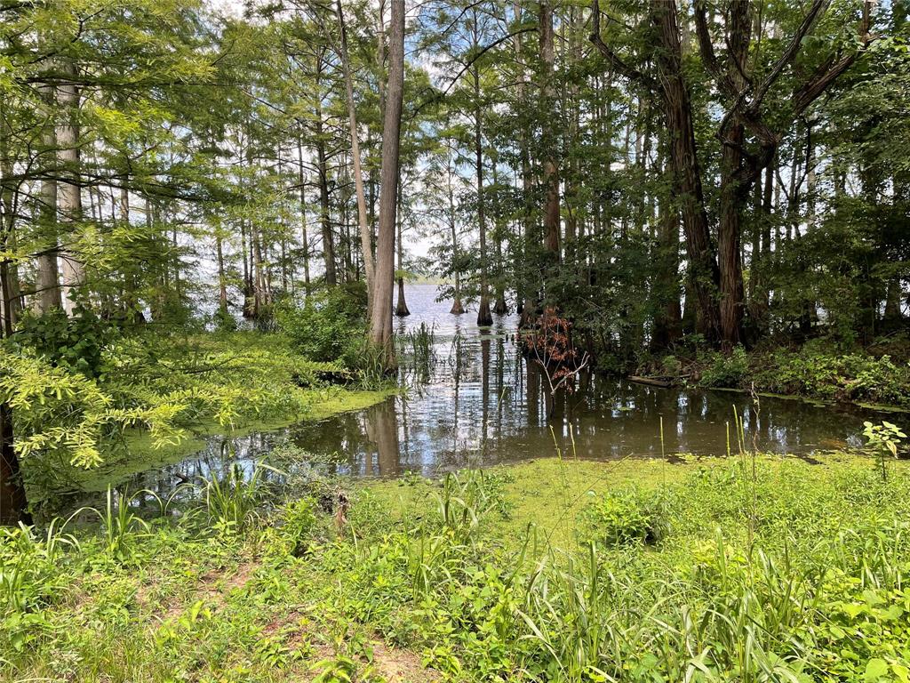 a backyard of a house with lots of green space and lake view