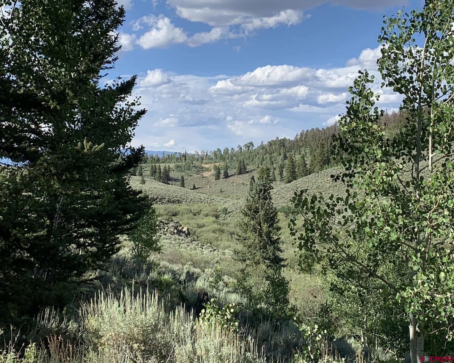 a view of a bunch of trees in a field