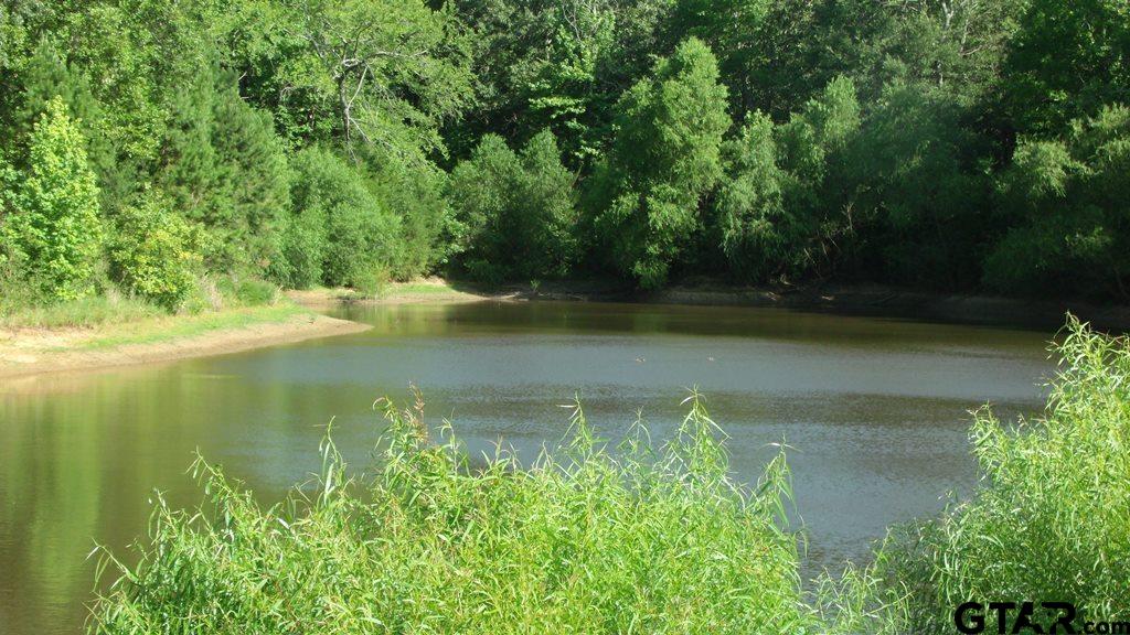 a view of a lake with a yard and large trees