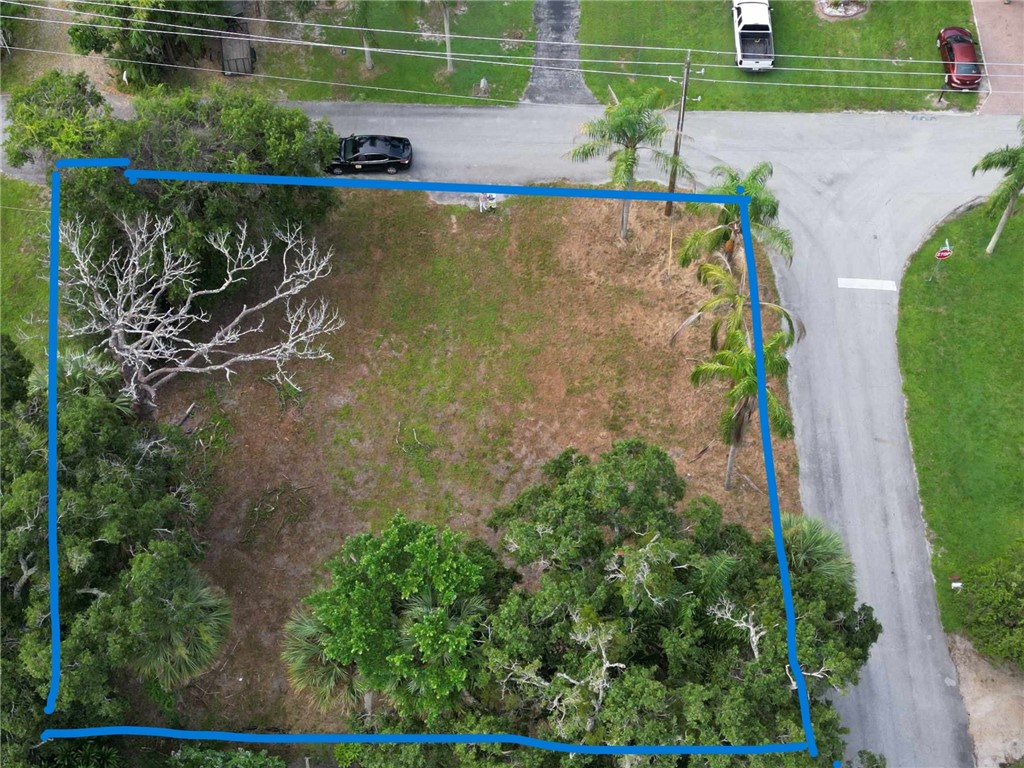 an aerial view of a house with a yard and potted plants