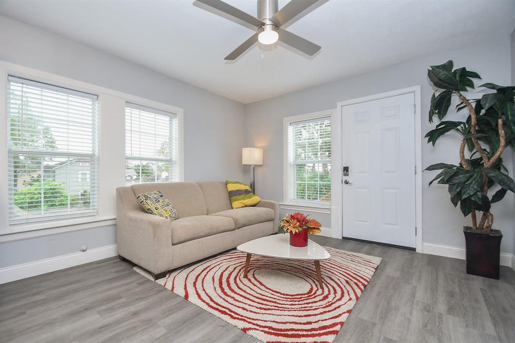 a living room with furniture and a potted plant