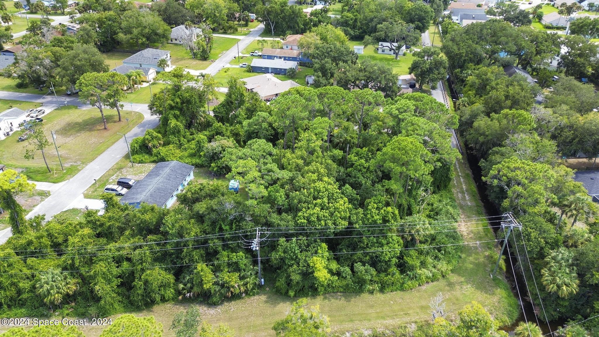 a view of a yard with plants