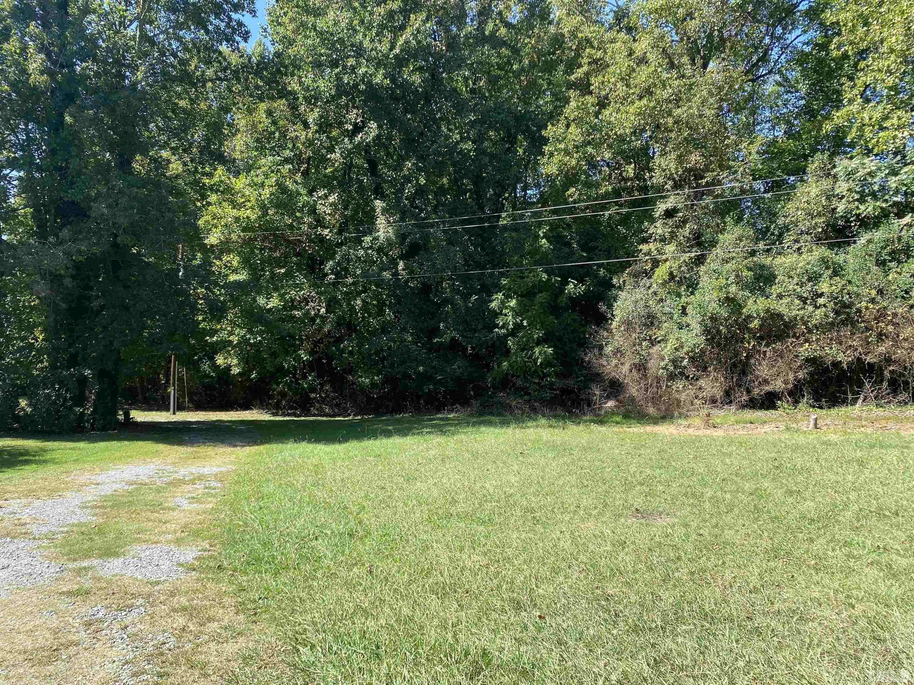 a view of a field with a trees in the background