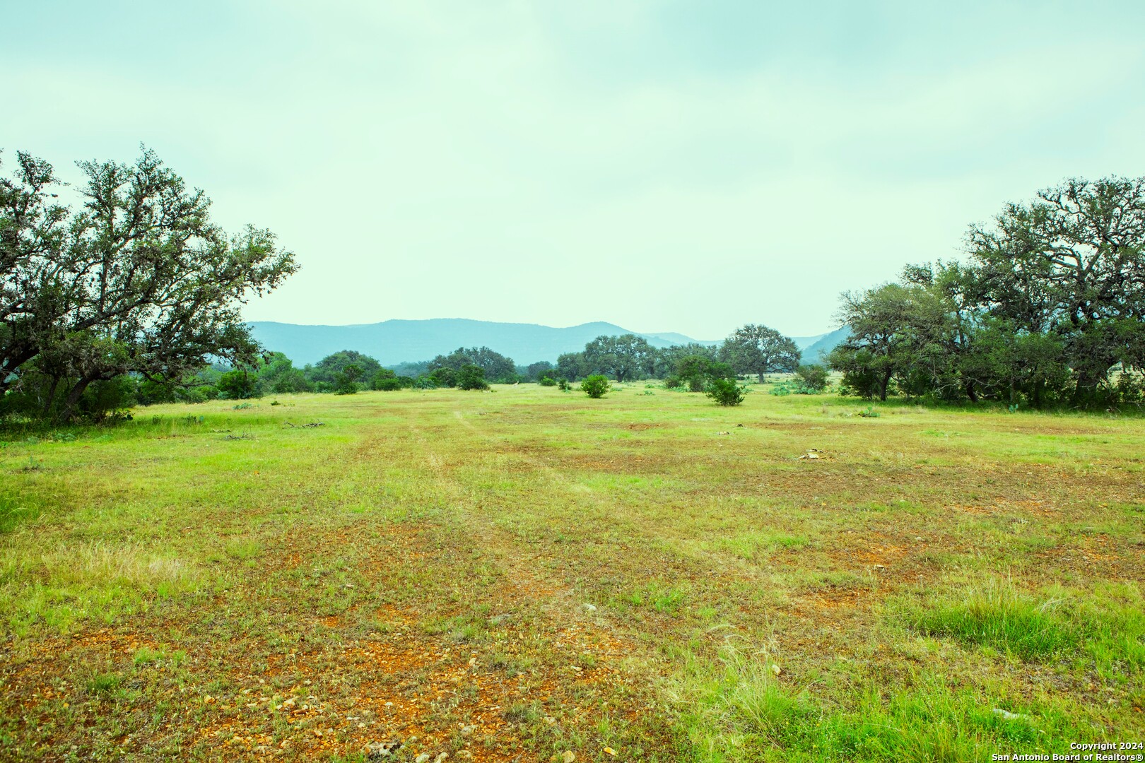 a view of a field with an ocean view