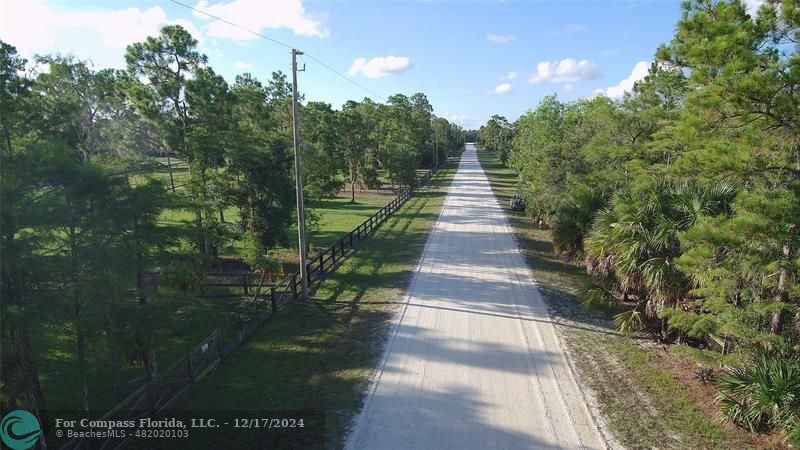 a view of a pathway of a park