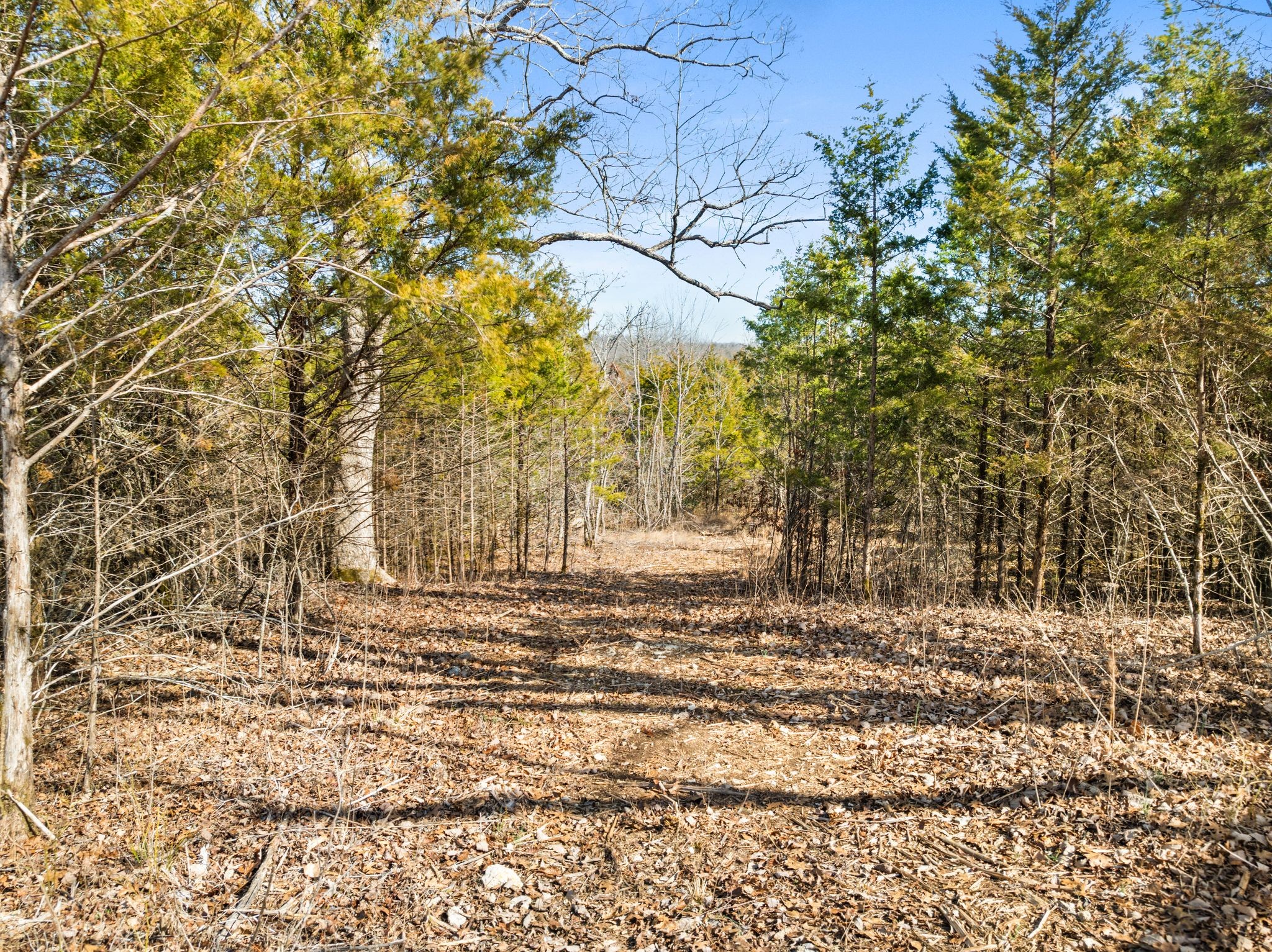 a view of a yard with wooden fence