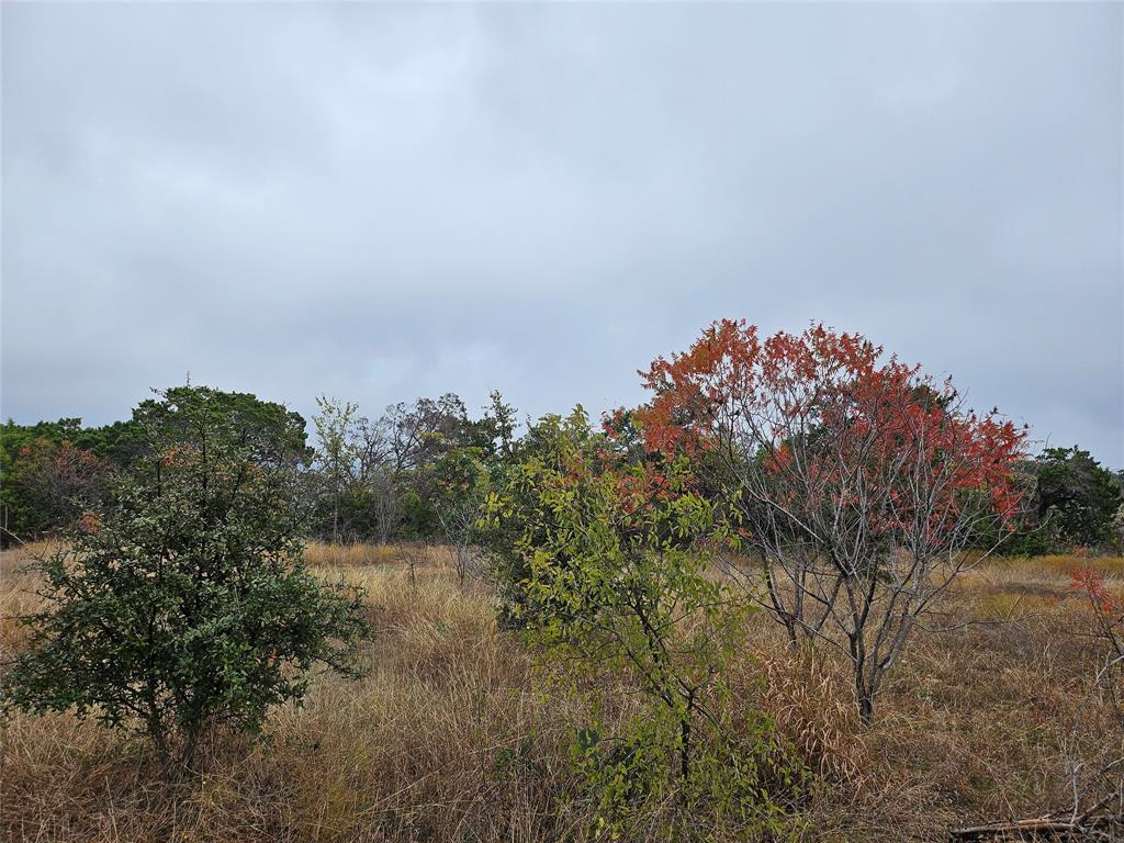 a view of a lake in middle of forest