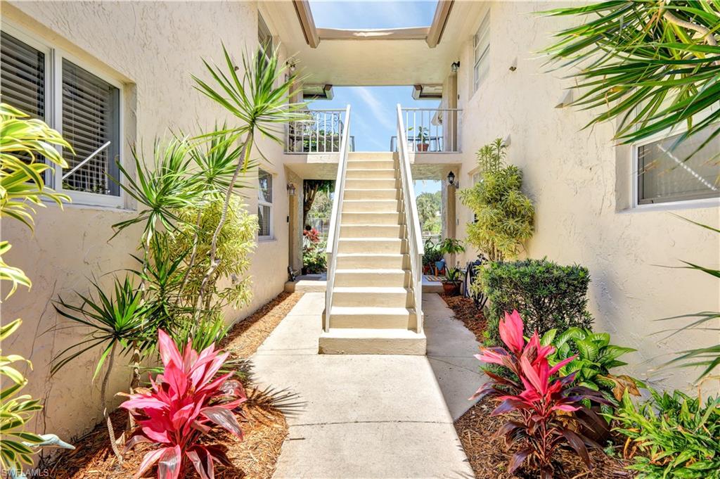 a potted plant sitting in front of a house