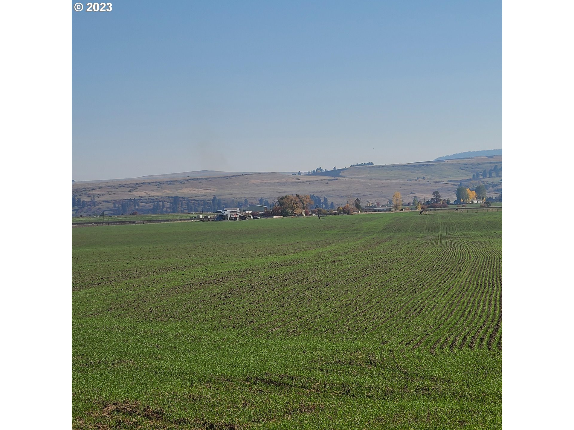 a view of a field with an ocean