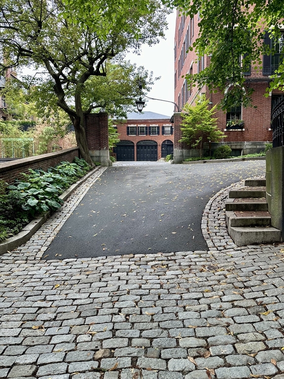 a view of a yard with plants