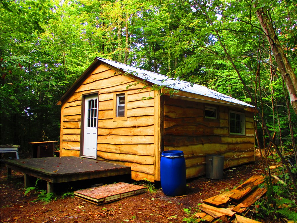 Cabin at the far end of the property