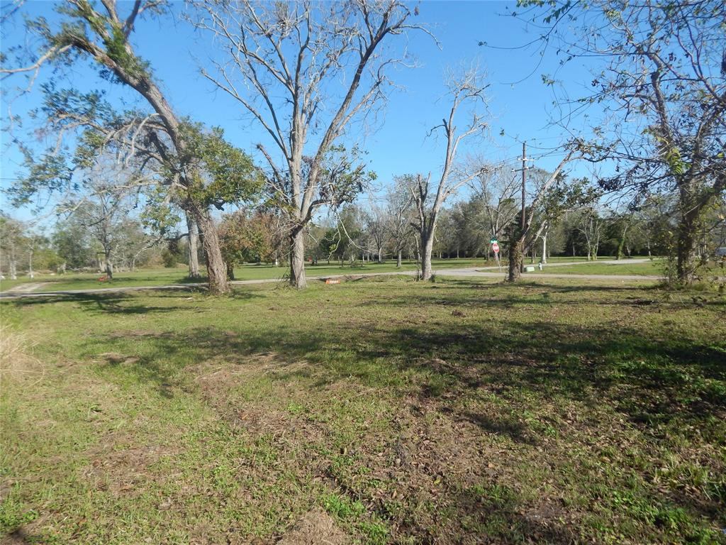 a view of a green field with trees