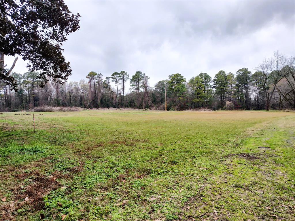 a view of a field with an ocean