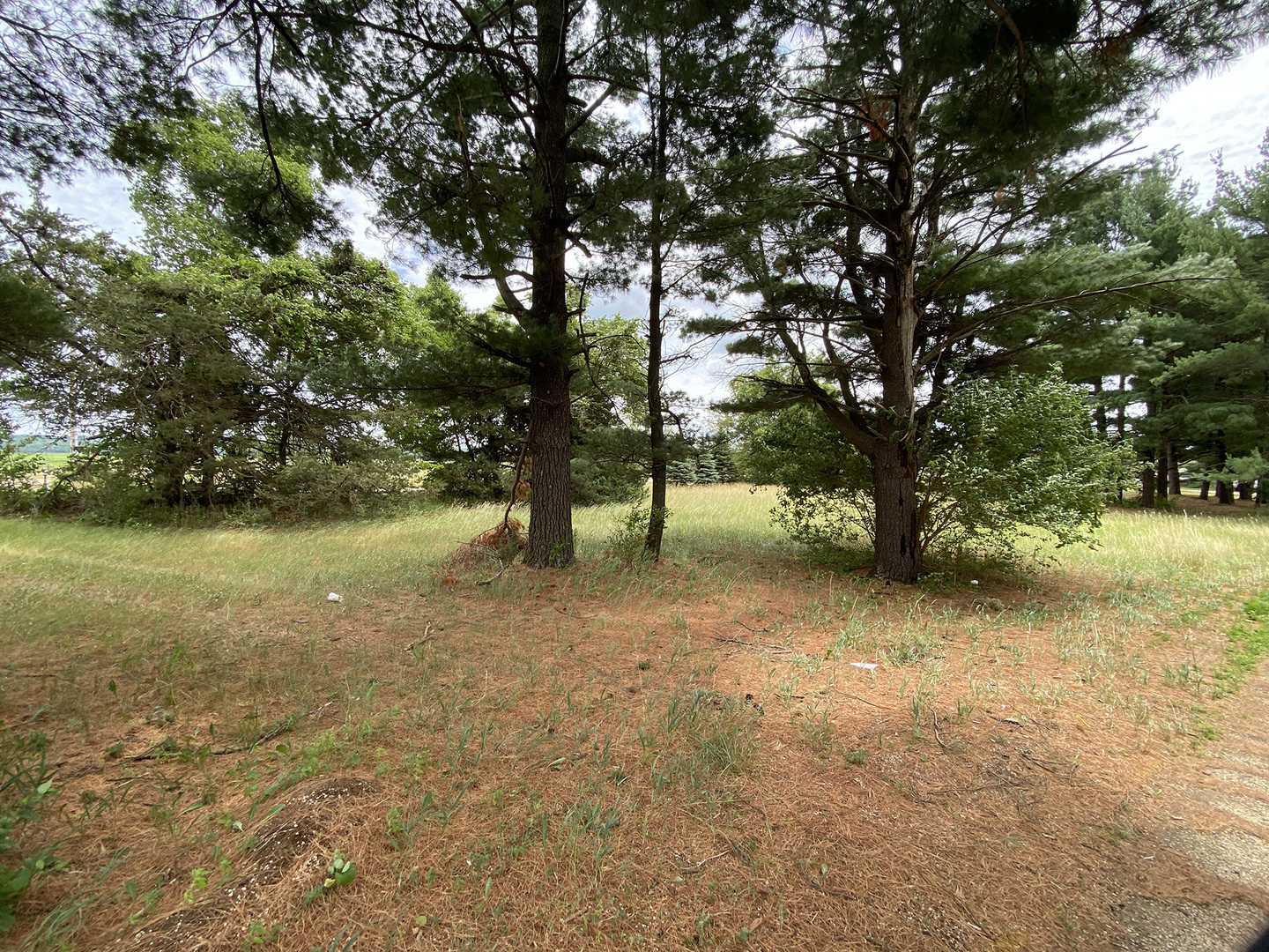 a view of outdoor space and yard