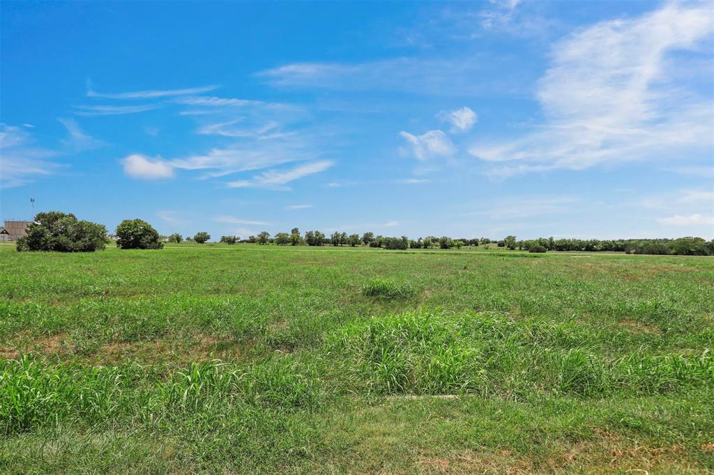 a view of a lush green space