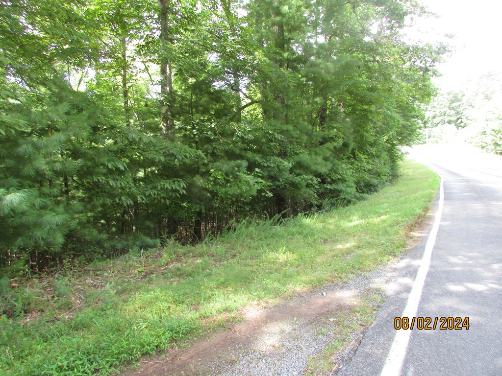 a view of a trees with a yard