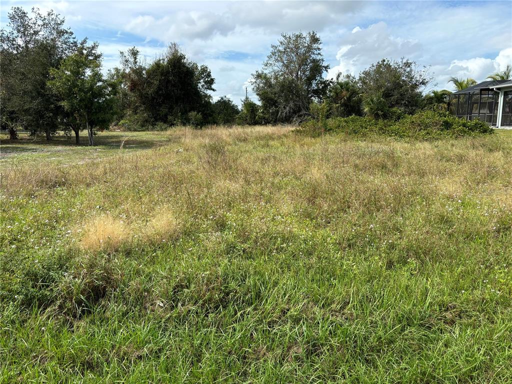 a view of a field with trees