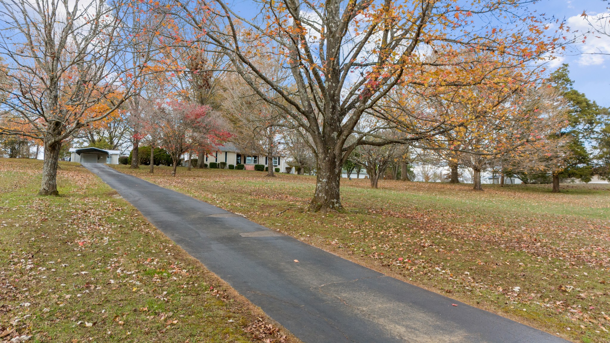 a view of backyard with green space