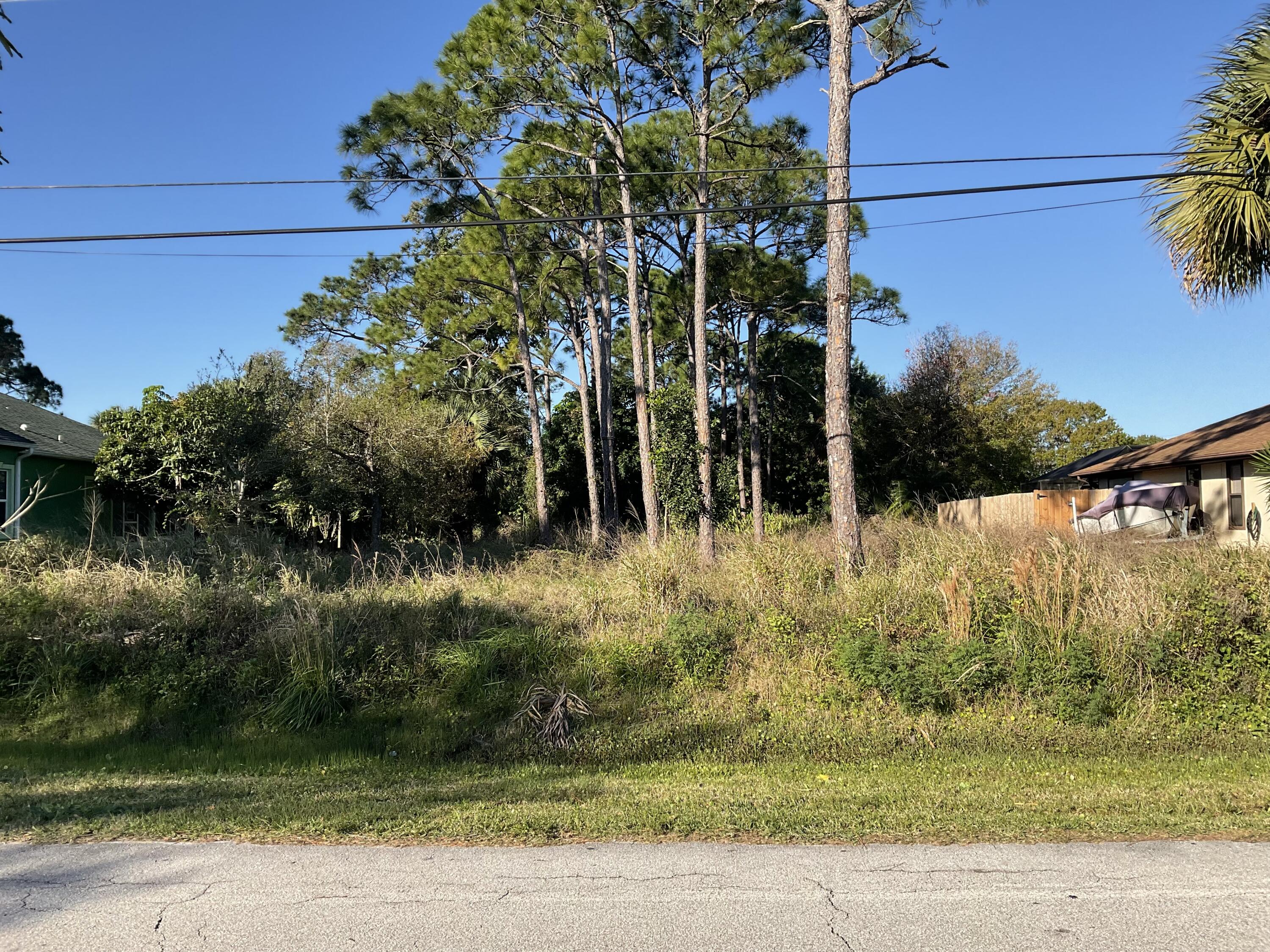 a view of backyard with green space