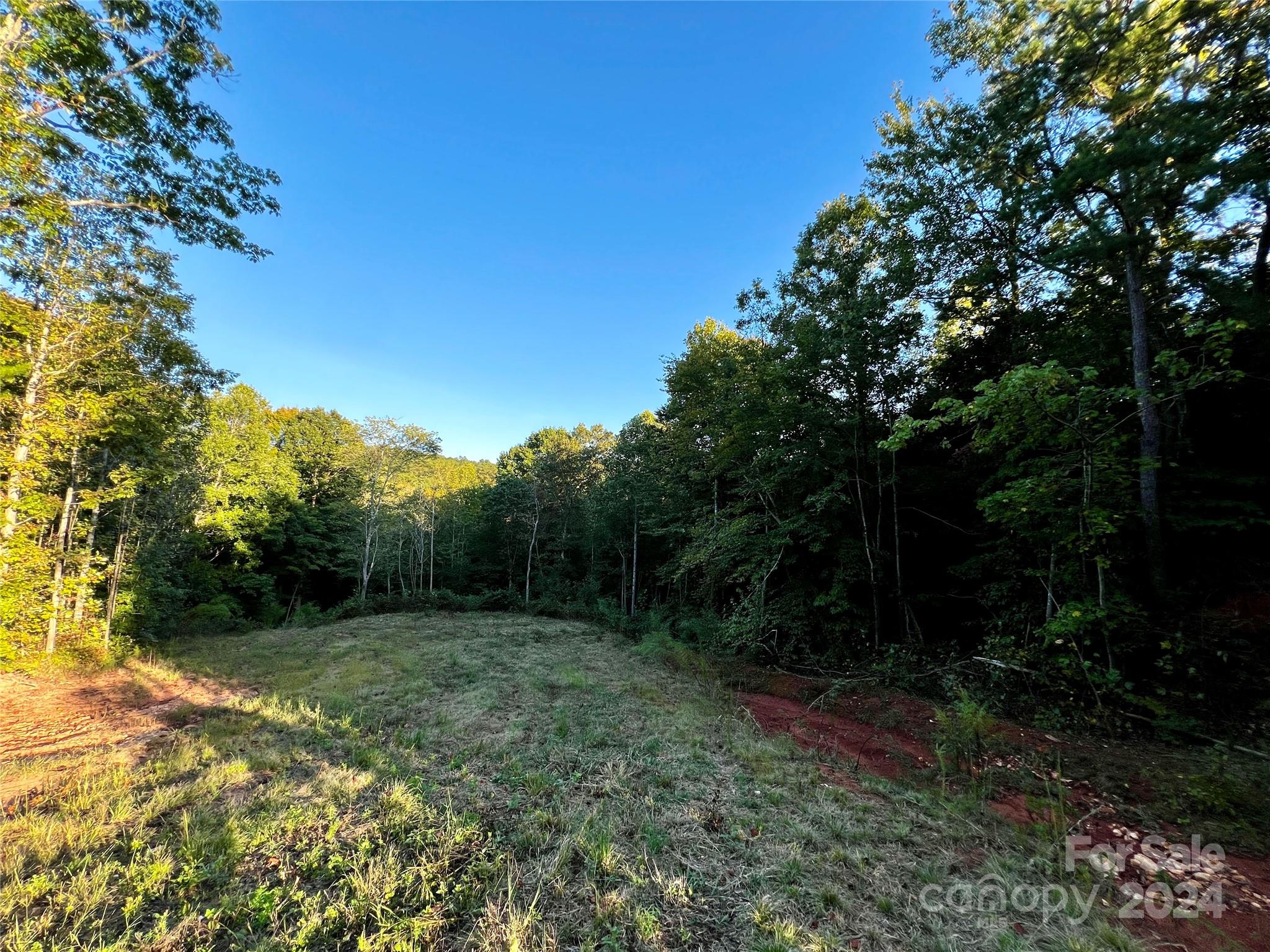 a view of backyard with green space