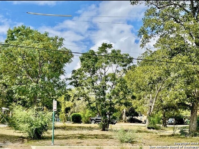 a view of a yard with plants