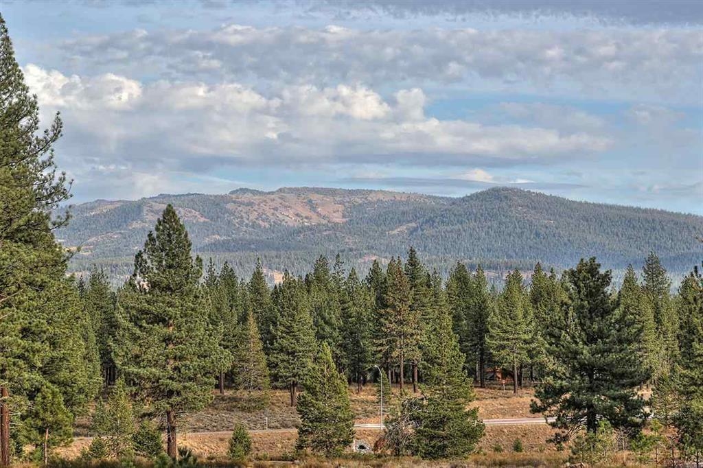 a view of a city and mountains