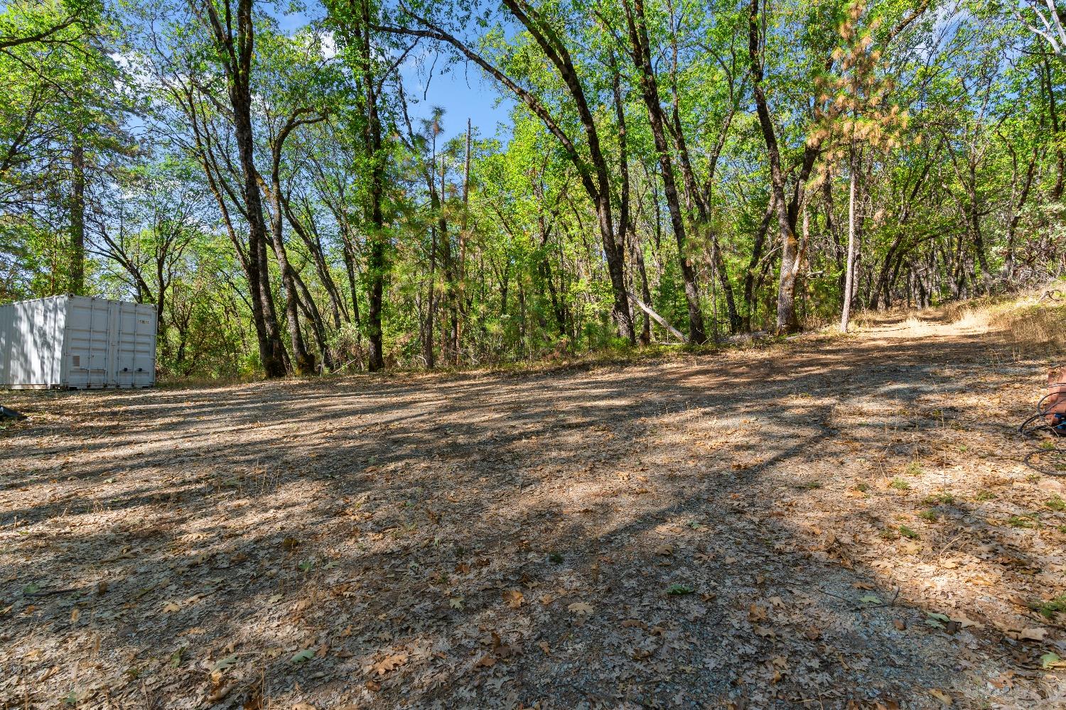 a view of outdoor space with trees all around