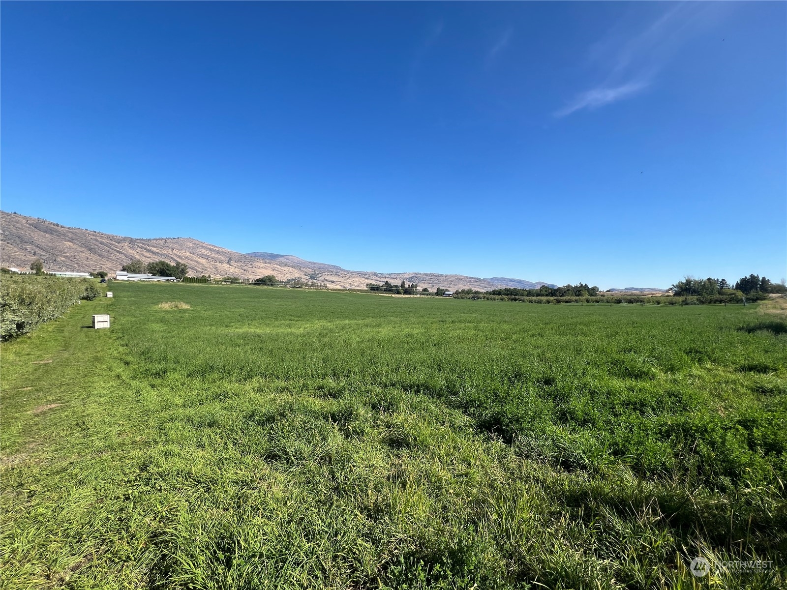 a view of a lush green outdoor space with a swimming pool and valleys in the background