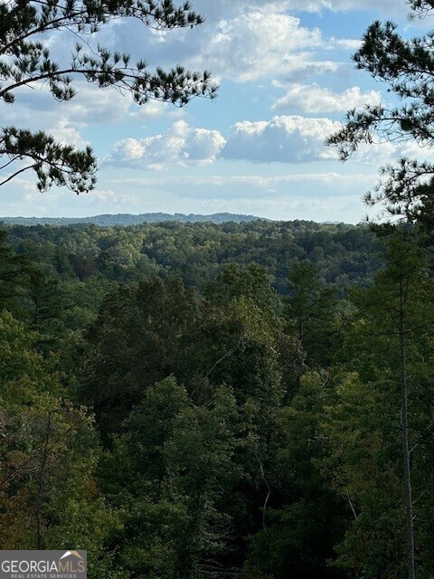 a view of a lake from a yard